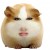 jianpo